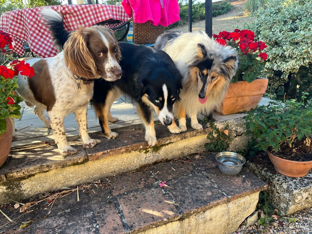 ‘Devilled eggs? Aren’t they a bit 1970s?’